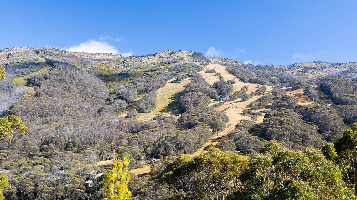 Thredbo Snowy Mountains my nrma local guides