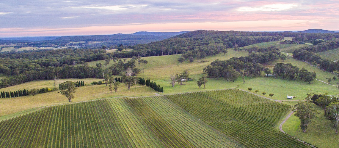 Vineyards