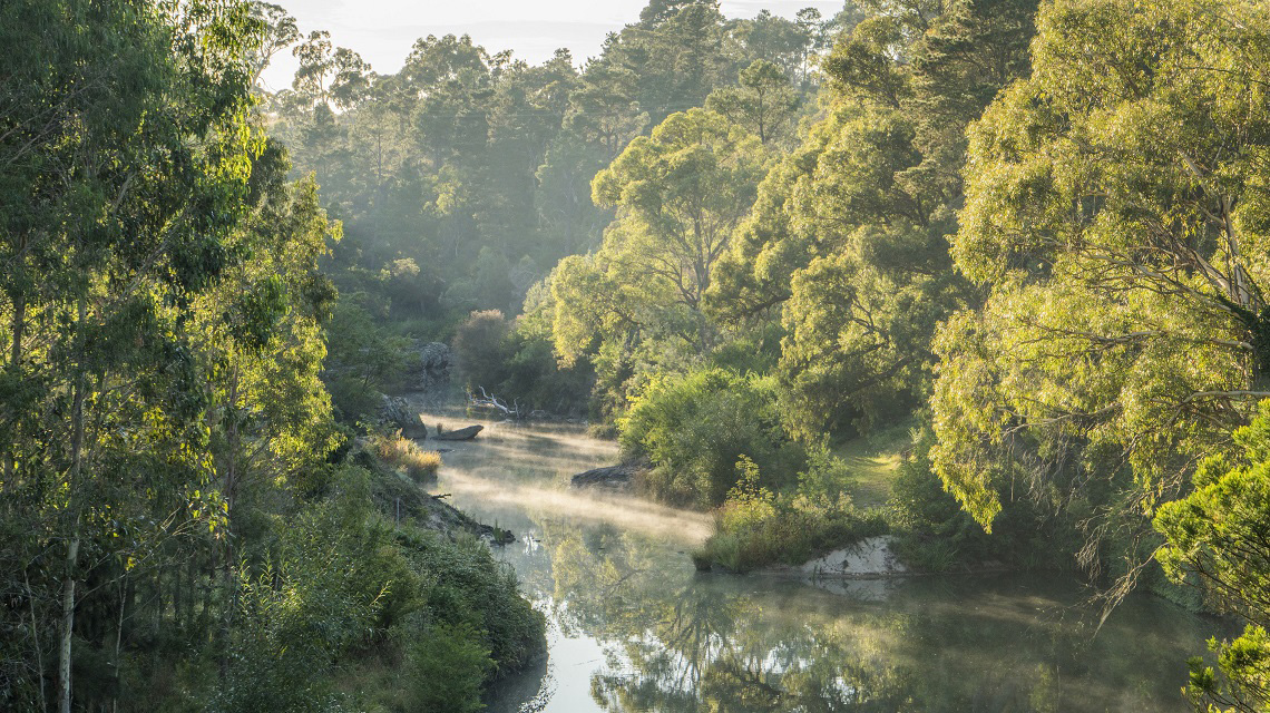 Wingecarabee River