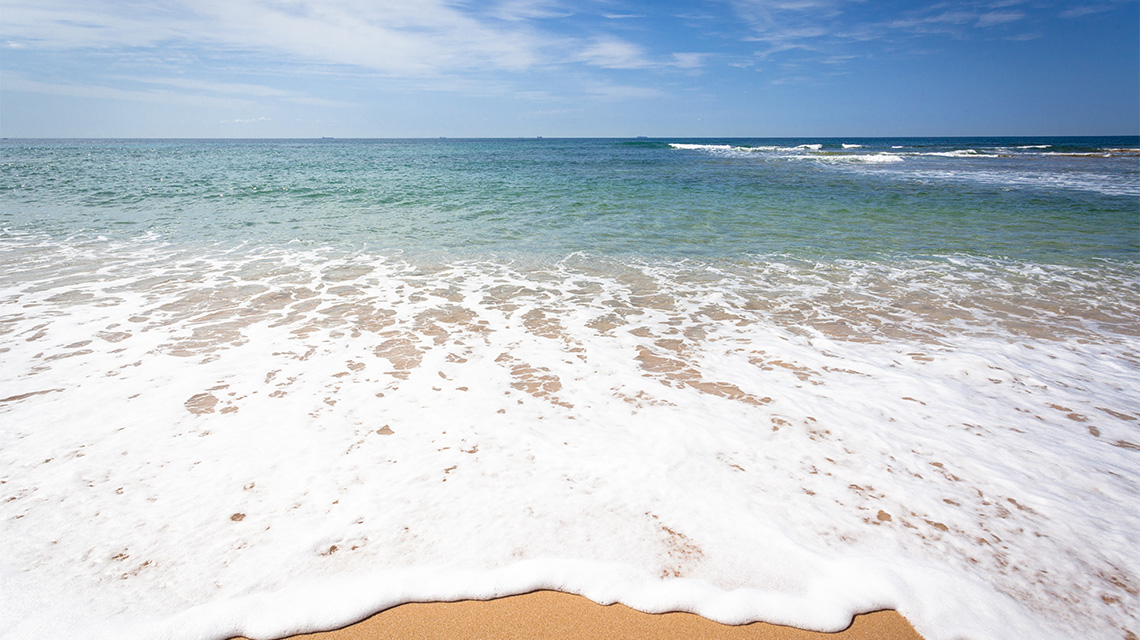 Beach Sunshine Coast QLD my nrma local guides