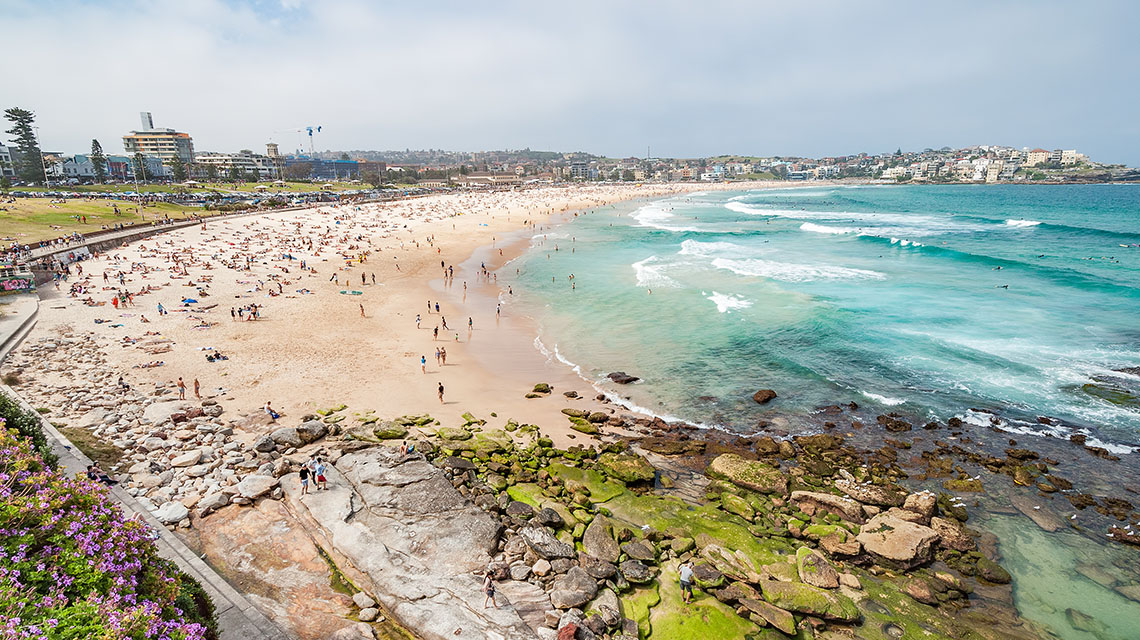Boindi Beach Sydney my nrma local guides
