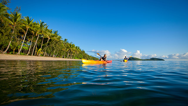 TNQ TNQ Palm Cove QLD my nrma local guides