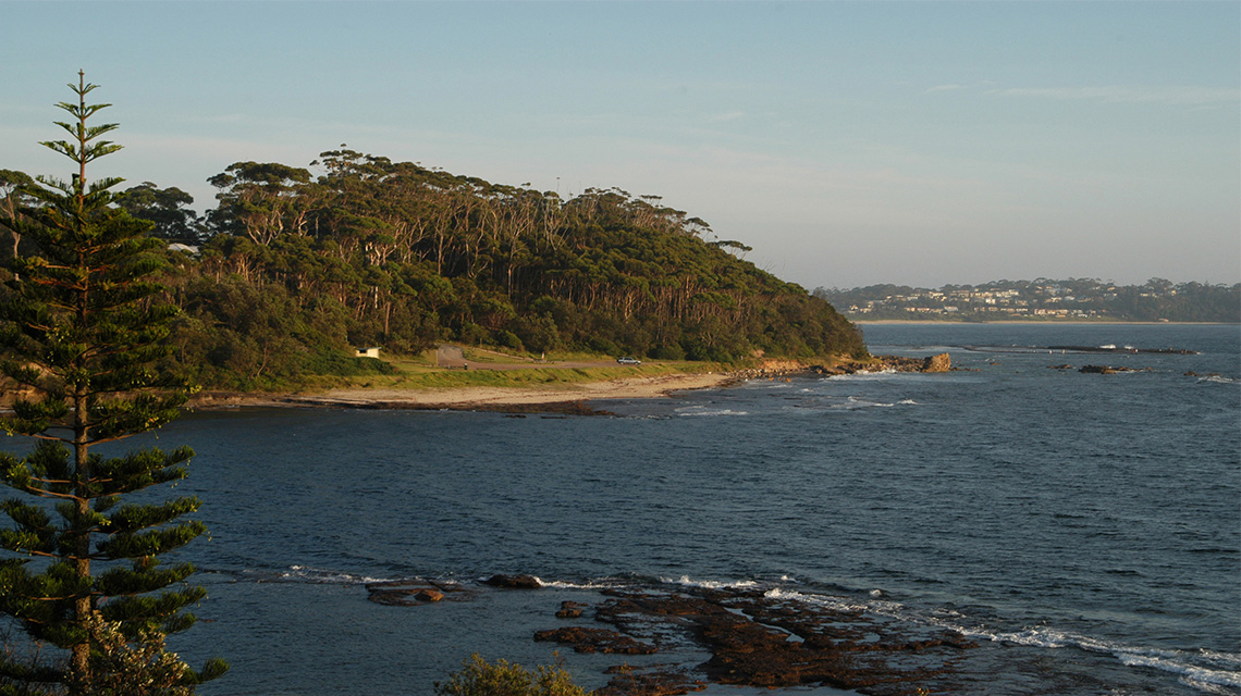 Coller Beach Ulladulla my nrma locals guide