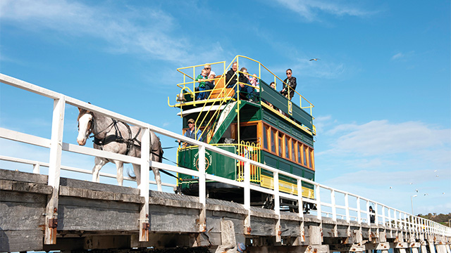 Horse Drawn Victor Harbour my nrma locals guide