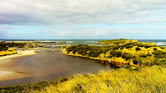 Pickering Point, Warrnambool Credit: Crikey3454 Link: https://commons.wikimedia.org/wiki/File:View_from_Pickering_Point,_Warrnambool.JPG
