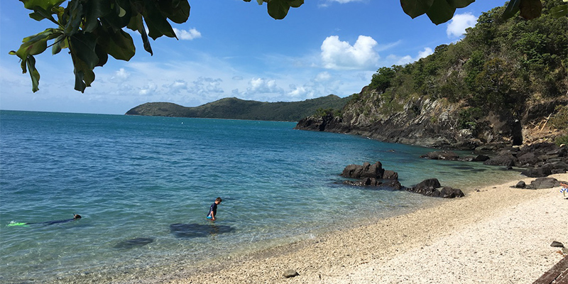 Lovers Cove Whitsundays my nrma locals guide