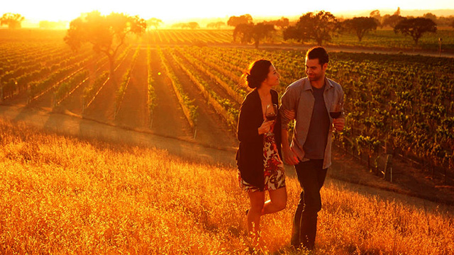 Top Things to do in South Australia Wine Tours Discount