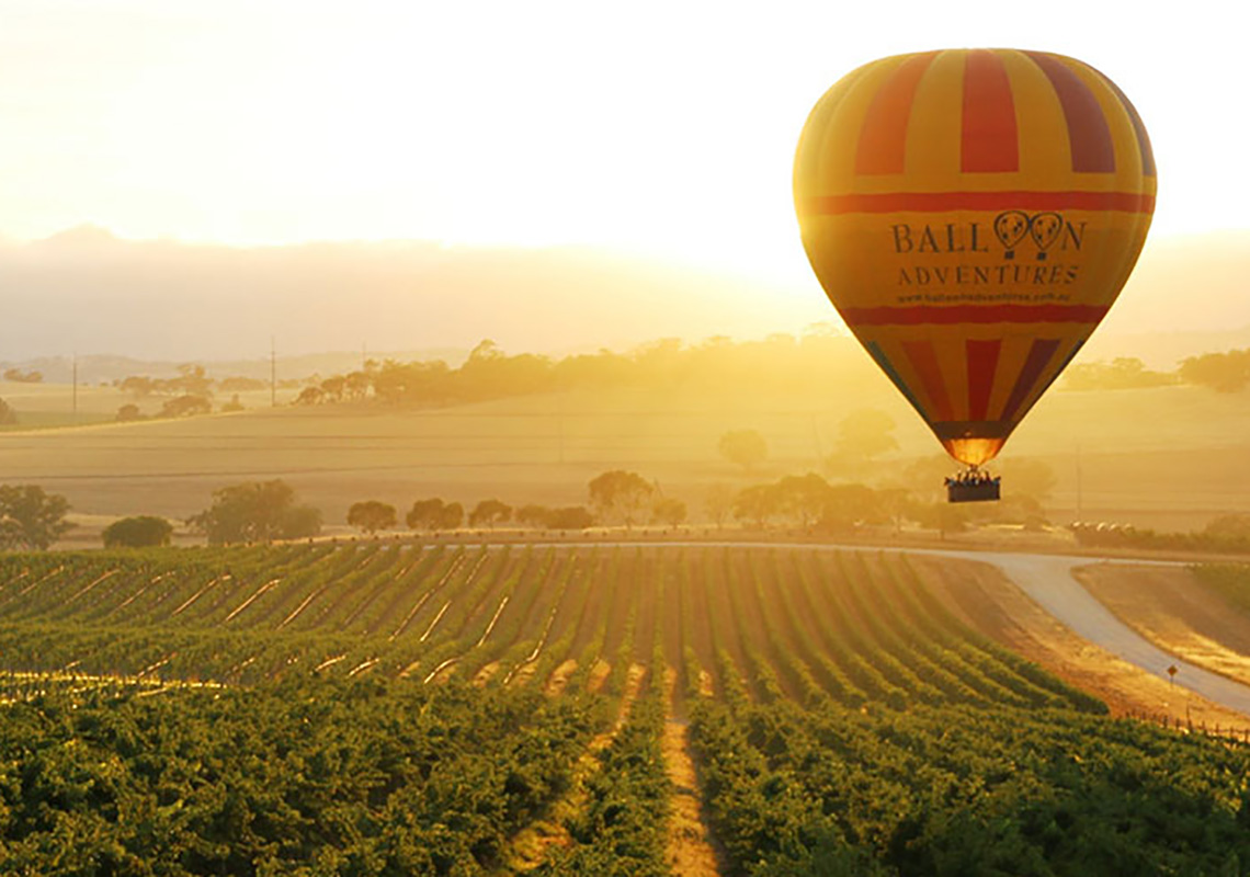 Barossa Valley Hot Air Balloon Things to do in South Australia NRMA Blue Member Discount
