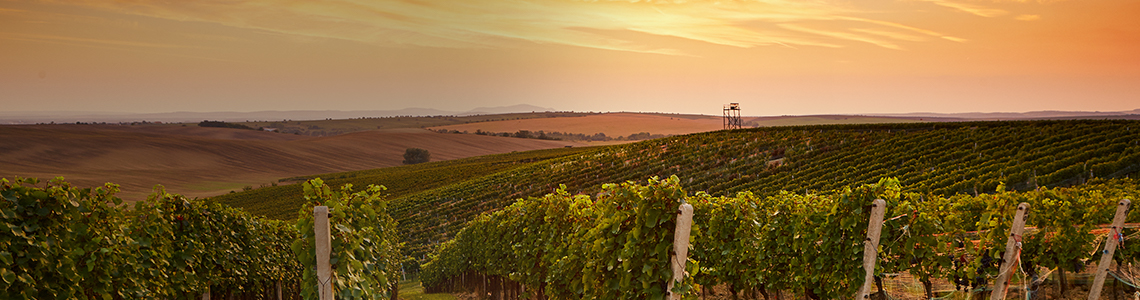 Best things to do in South Australia NRMA Blue Member Discount