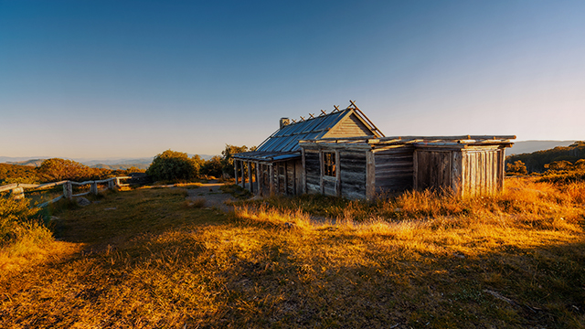 Best things to do in Victoria NRMA Blue Member Discount