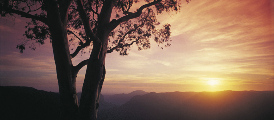 Blue Mountains NRMA Blue Member Discount Road Trip