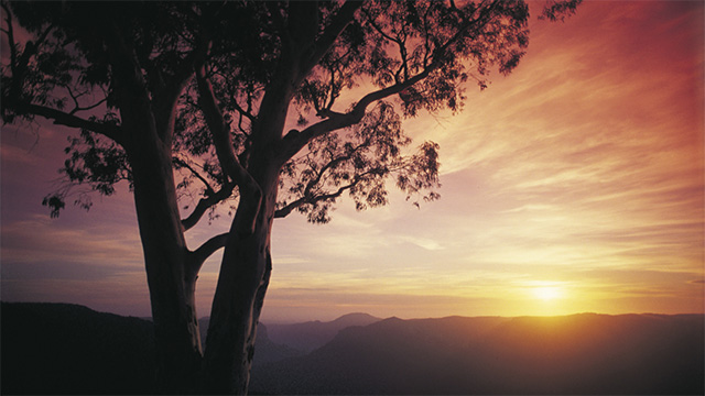 Blue Mountains NRMA Blue Member Discount Road Trip