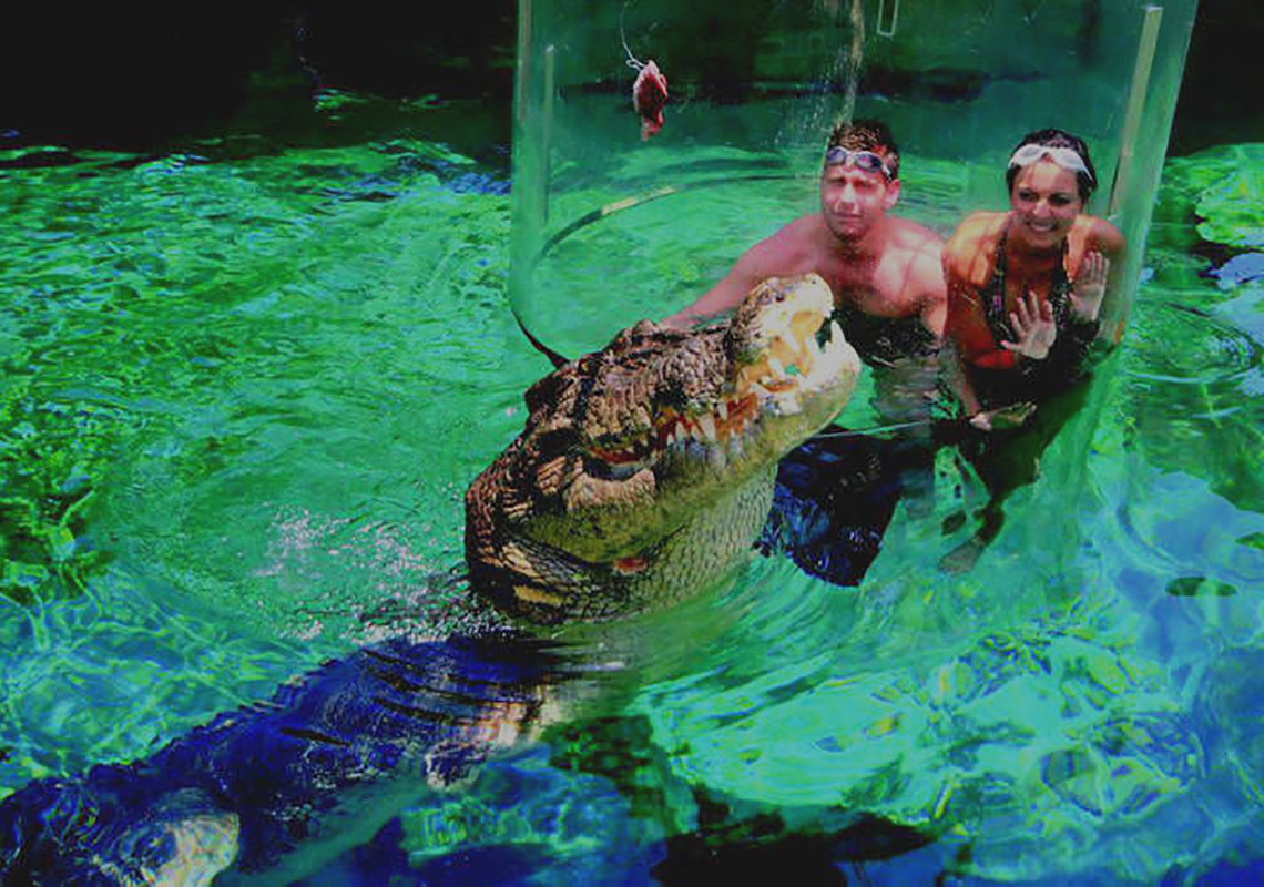Swimming with Crocodile Things to do in Northern Territory NRMA Blue Member Discount