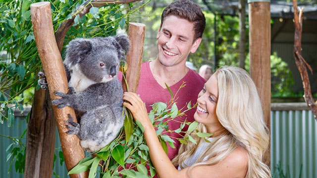 Featherdale Wildlife Park