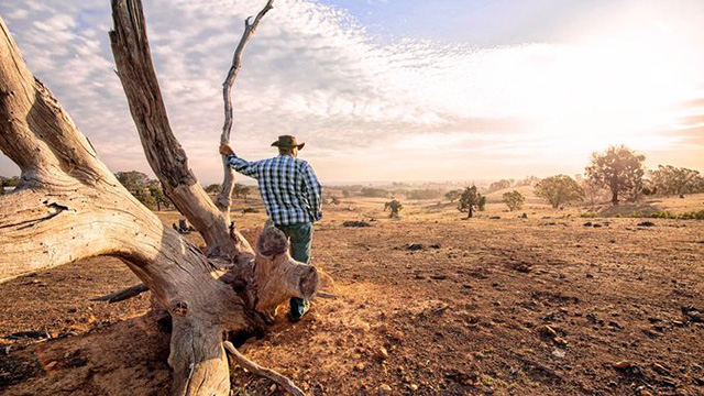 Your road trip will support our farmers | The NRMA