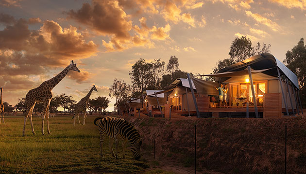 Taronga Western Plains Zoo | Member Discounts & Specials | The NRMA