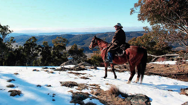 Best things to do in NSW attractions and experiences