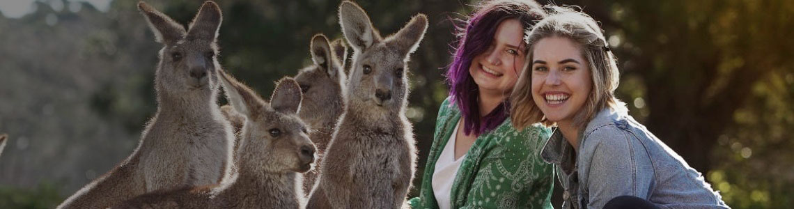 NRMA Members save on entry at Symbio Wildlife Park