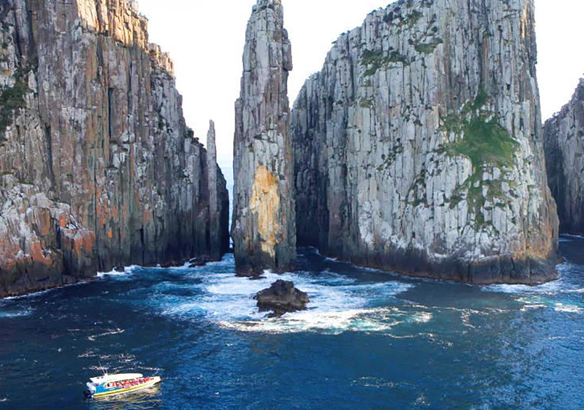 Tasman Island Cruise Best things to do in Tasmania NRMA Blue Member Discount