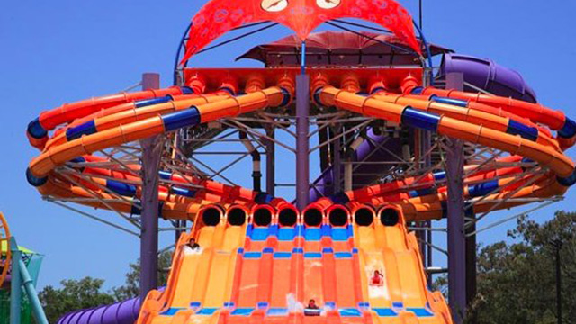 Wet n Wild Discount Tickets Gold Coast Theme Parks The NRMA wet-n-wild-discount-tickets-gold-coast-theme-parks-the-nrma
