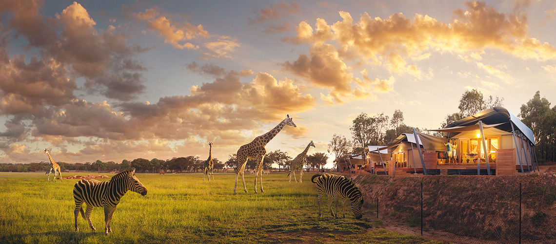 NRMA Blue Member Discount Road Trip Dubbo to Sydney