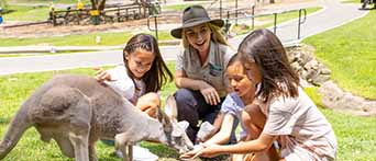 Currumbin Wildlife Sanctuary