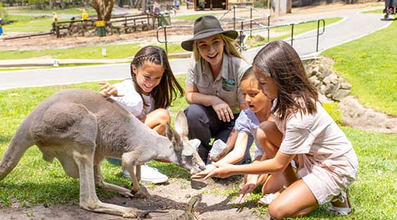 Currumbin Wildlife Sanctuary
