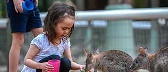 Featherdale Sydney Wildlife Park