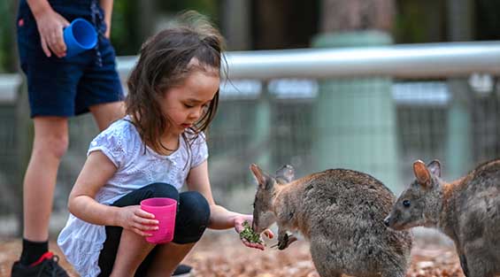 Featherdale Sydney Wildlife Park