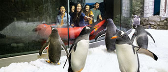 SEA LIFE Aquarium