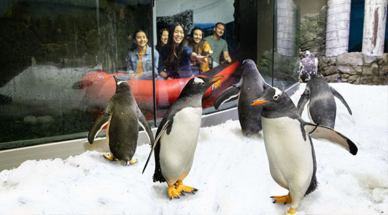 SEA LIFE Aquarium