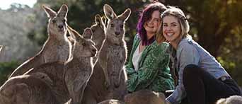 Symbio Wildlife Park