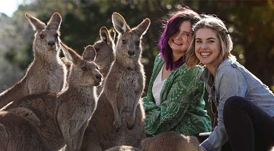Symbio Wildlife Park