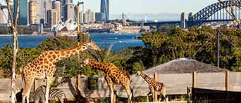 Taronga Zoo Sydney