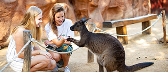 WILD LIFE Sydney Zoo