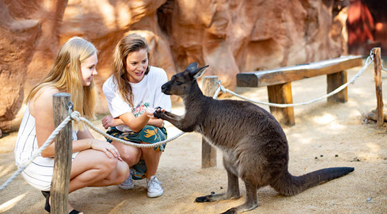 WILD LIFE Sydney Zoo
