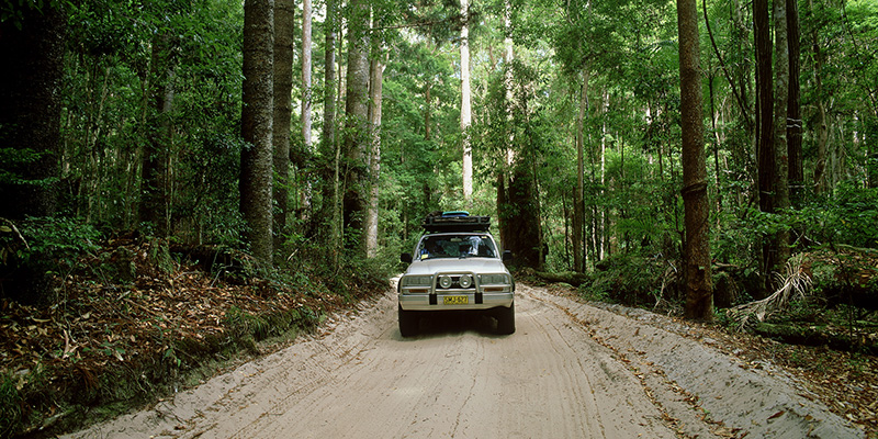4WD driving on a trail through forest