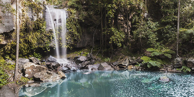 Waterfall and pool in Mount Tamborine QLD