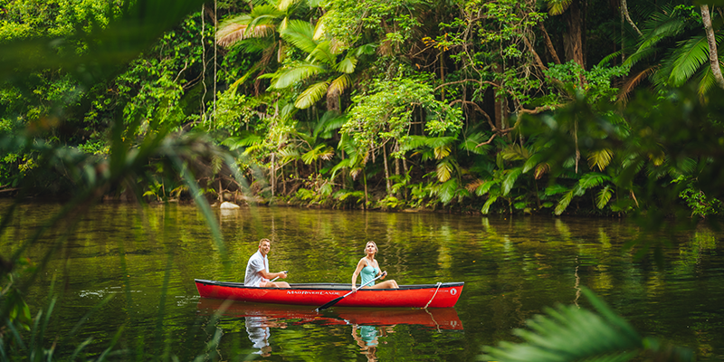 Canoeing in the Daintree Rainforest