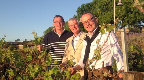 3 older gentlemen smiling in a vineyard