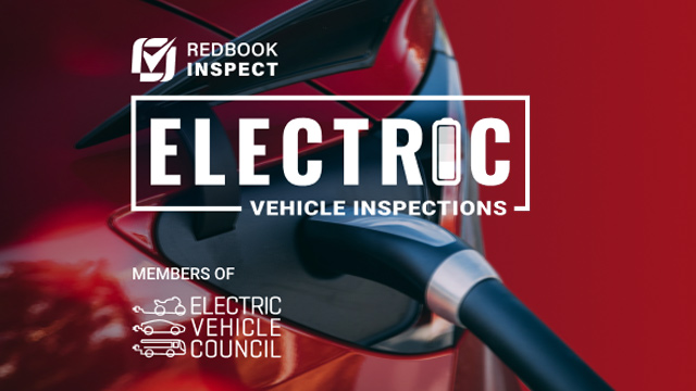 EV pre purchase inspections