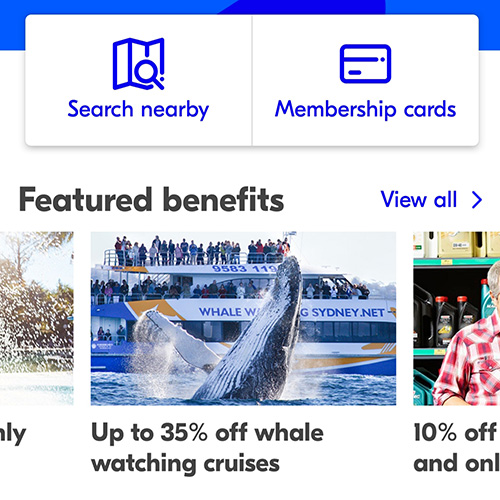 Search discover