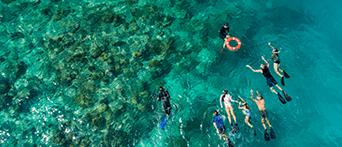 NRMA Cairns Holiday Park - credit: Tourism and Events Queensland