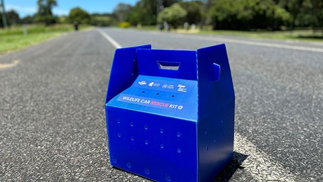 A wildlife rescue kit sitting on a road, the kit is a square blue cardboard box. 