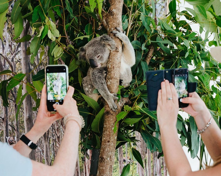 Bright Futures tour Northern Rivers 14 Slide 2