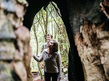 Coastal Adventures Tasmania with Coral Expeditions