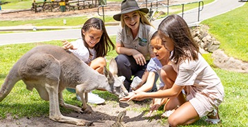 Currumbin Wildlife Sanctuary, QLD
