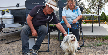 Pet friendly camping stays