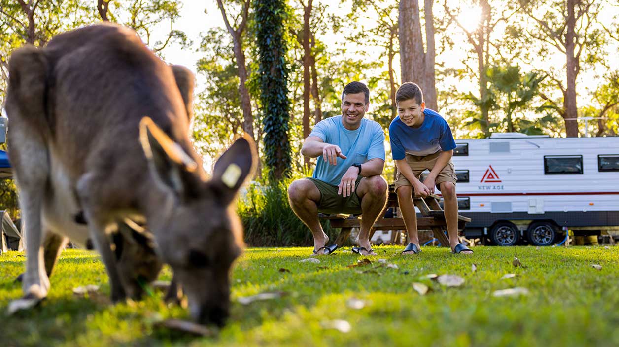 NRMA Darlington Beach Holiday Resort