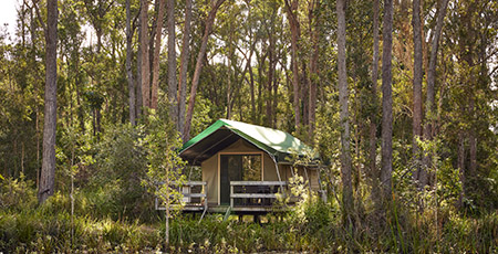 Darlington Beach, Lagoon Safari Tent exterior